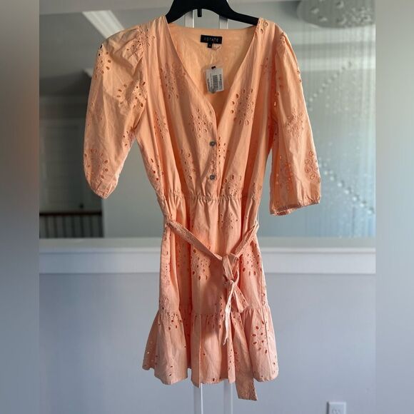 1.State eyelet embroidered puff sleeve dress - Picture 3 of 6